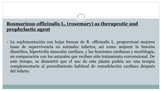 Rosmarinus officinalis L. (rosemary) as therapeutic and
prophylactic agent
 La suplementación con hojas frescas de R. officinalis L. proporcionó mejores
tasas de supervivencia en animales infartos, así como mejorar la función
diastólica, hipertrofia muscular cardíaca, y las funciones cardíacas y morfología,
en comparación con los animales que reciben sólo tratamiento convencional. De
este tiempo, se demostró que el uso de esta planta podría ser una terapia
complementaria al procedimiento habitual de remodelación cardíaca después
del infarto.
 