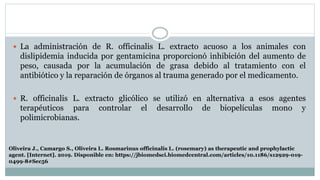  La administración de R. officinalis L. extracto acuoso a los animales con
dislipidemia inducida por gentamicina proporcionó inhibición del aumento de
peso, causada por la acumulación de grasa debido al tratamiento con el
antibiótico y la reparación de órganos al trauma generado por el medicamento.
 R. officinalis L. extracto glicólico se utilizó en alternativa a esos agentes
terapéuticos para controlar el desarrollo de biopelículas mono y
polimicrobianas.
Oliveira J., Camargo S., Oliveira L. Rosmarinus officinalis L. (rosemary) as therapeutic and prophylactic
agent. [Internet]. 2019. Disponible en: https://jbiomedsci.biomedcentral.com/articles/10.1186/s12929-019-
0499-8#Sec56
 