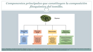 Componentes principales que constituyen la composición
fitoquímica del tomillo.
Lorenzo J, Khaneghah A, Gavahian M, Marszałek K, Munekata I, Ferreira I, et al. Understanding the potential benefits of thyme and its derived products for food industry and consumer health: From extraction of value-added
compounds to the evaluation of bioaccessibility, bioavailability, anti-inflammatory, and antimicrobial activities. 2018. Critical Reviews in Food Science and Nutrition, 1–17.
 