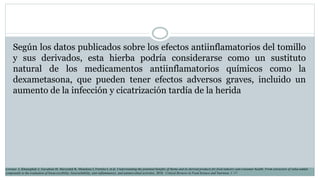 Según los datos publicados sobre los efectos antiinflamatorios del tomillo
y sus derivados, esta hierba podría considerarse como un sustituto
natural de los medicamentos antiinflamatorios químicos como la
dexametasona, que pueden tener efectos adversos graves, incluido un
aumento de la infección y cicatrización tardía de la herida
Lorenzo J, Khaneghah A, Gavahian M, Marszałek K, Munekata I, Ferreira I, et al. Understanding the potential benefits of thyme and its derived products for food industry and consumer health: From extraction of value-added
compounds to the evaluation of bioaccessibility, bioavailability, anti-inflammatory, and antimicrobial activities. 2018. Critical Reviews in Food Science and Nutrition, 1–17.
 