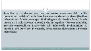 También se ha demostrado que los aceites esenciales del tomillo
presentaron actividad antimicrobiana contra Gram-positivos (Bacillus
licheniformis, Micrococcus spp., B. thuringien- sis, Sarcina flava, Listeria
innocua y Staphylococcus aureus) y Gram-negativos (Proteus mirabilis,
Yersinia enterocolitica, Escherichia coli, Salmonella Typhimurium, P.
putida E. coli O157: H7, P. vulgaris, Pseudomonas fluorescens y Serratia
marcescens.
Lorenzo J, Khaneghah A, Gavahian M, Marszałek K, Munekata I, Ferreira I, et al. Understanding the potential benefits of thyme and its derived products for food industry and consumer health: From extraction of value-added
compounds to the evaluation of bioaccessibility, bioavailability, anti-inflammatory, and antimicrobial activities. 2018. Critical Reviews in Food Science and Nutrition, 1–17.
 