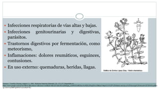  Infecciones respiratorias de vías altas y bajas.
 Infecciones genitourinarias y digestivas,
parásitos.
 Trastornos digestivos por fermentación, como
meteorismo,
 Inflamaciones: dolores reumáticos, esguinces,
contusiones.
 En uso externo: quemaduras, heridas, llagas.
Gimeno J. Tomillo (Thymus vulgaris L.). 2001. Medicina Naturista [Internet], (3): 173-175. Disponible en:
https://www.google.com/url?sa=t&rct=j&q=&esrc=s&source=web&cd=4&ved=2ahUKEwjh8ubjpq_nAhWEGc0KHaozAc4QFjADegQIAxAB&url=https%3A%2F%2Fdialnet.unirioja.es%2Fdescarga%2Farticulo%2F202456.pdf&u
sg=AOvVaw0B07qkWWJ7cJz5o8ulJ1Wy
 
