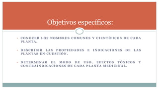 • CONOCER LOS NOMBRES COMUNES Y CIENTÍFICOS DE CADA
PLANTA.
• DESCRIBIR LAS PROPIEDADES E INDICACIONES DE LAS
PLANTAS EN CUESTIÓN.
• DETERMINAR EL MODO DE USO, EFECTOS TÓXICOS Y
CONTRAINDICACIONES DE CADA PLANTA MEDICINAL .
Objetivos específicos:
 