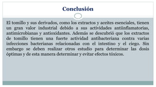 Conclusión
El tomillo y sus derivados, como los extractos y aceites esenciales, tienen
un gran valor industrial debido a sus actividades antiinflamatorias,
antimicrobianas y antioxidantes. Además se descubrió que los extractos
de tomillo tienen una fuerte actividad antibacteriana contra varias
infecciones bacterianas relacionadas con el intestino y el ciego. Sin
embargo se deben realizar otros estudio para determinar las dosis
óptimas y de esta manera determinar y evitar efectos tóxicos.
 