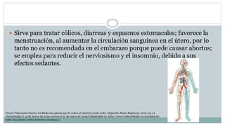  Sirve para tratar cólicos, diarreas y espasmos estomacales; favorece la
menstruación, al aumentar la circulación sanguínea en el útero, por lo
tanto no es recomendada en el embarazo porque puede causar abortos;
se emplea para reducir el nerviosismo y el insomnio, debido a sus
efectos sedantes.
Teresa Valenzuela Garcia. La Ruda una planta que la rodea el misterio [sede web]. Alejandro Rojas Espinoza; 2019-03-14
[Actualizada el 14 de marzo de 2019; acceso el 31 de enero de 2020] Disponible en: http://www.radiorebelde.cu/consejos/la-
ruda-una-planta-rodea-misterio-20190314/
 