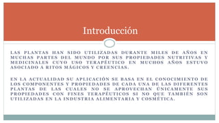 LAS PLANTAS HAN SIDO UTILIZADAS DURANTE MILES DE AÑOS EN
MUCHAS PARTES DEL MUNDO POR SUS PROPIEDADES NUTRITIVAS Y
MEDICINALES CUYO USO TERAPÉUTICO EN MUCHOS AÑOS ESTUVO
ASOCIADO A RITOS MÁGICOS Y CREENCIAS.
EN LA ACTUALIDAD SU APLICACIÓN SE BASA EN EL CONOCIMIENTO DE
LOS COMPONENTES Y PROPIEDADES DE CADA UNA DE LAS DIFERENTES
PLANTAS DE LAS CUALES NO SE APROVECHAN ÚNICAMENTE SUS
PROPIEDADES CON FINES TERAPÉUTICOS SI NO QUE TAMBIÉN SON
UTILIZADAS EN LA INDUSTRIA ALIMENTARIA Y COSMÉTICA .
Introducción
 