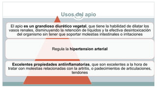 Usos del apio
El apio es un grandioso diurético vegetal, que tiene la habilidad de dilatar los
vasos renales, disminuyendo la retención de líquidos y la efectiva desintoxicación
del organismo sin tener que soportar molestias intestinales o irritaciones
Regula la hipertension arterial
Excelentes propiedades antiinflamatorias, que son excelentes a la hora de
tratar con molestias relacionadas con la artritis, o padecimientos de articulaciones,
tendones
 