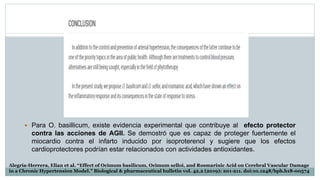  Para O. basillicum, existe evidencia experimental que contribuye al efecto protector
contra las acciones de AGII. Se demostró que es capaz de proteger fuertemente el
miocardio contra el infarto inducido por isoproterenol y sugiere que los efectos
cardioprotectores podrían estar relacionados con actividades antioxidantes.
Alegría-Herrera, Elian et al. “Effect of Ocimum basilicum, Ocimum selloi, and Rosmarinic Acid on Cerebral Vascular Damage
in a Chronic Hypertension Model.” Biological & pharmaceutical bulletin vol. 42,2 (2019): 201-211. doi:10.1248/bpb.b18-00574
 
