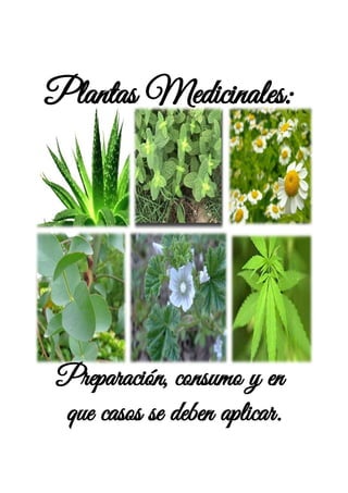 Plantas Medicinales:
Preparación, consumo y en
que casos se deben aplicar.
 