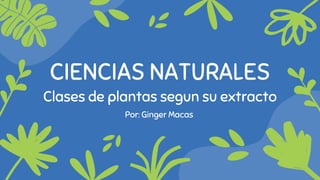 CIENCIAS NATURALES
Clases de plantas segun su extracto
Por: Ginger Macas
 