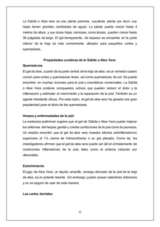 11
La Sábila o Aloe vera es una planta perenne, suculenta planta (es decir, sus
hojas tienen grandes cantidades de agua). La planta puede crecer hasta 4
metros de altura, y sus duras hojas carnosas, como lanzas, pueden crecer hasta
36 pulgadas de largo. El gel transparente, de espesor se encuentra en la parte
interior de la hoja es más comúnmente utilizado para pequeños cortes y
quemaduras.
Propiedades curativas de la Sábila o Aloe Vera.
Quemaduras
El gel de aloe, a partir de la parte central de la hoja de aloe, es un remedio casero
común para cortes y quemaduras leves, así como quemaduras de sol. Se puede
encontrar en muchas lociones para la piel y cosméticos comerciales. La Sábila
o Aloe Vera contiene compuestos activos que pueden reducir el dolor y la
inflamación y estimular el crecimiento y la reparación de la piel. También es un
agente hidratante eficaz. Por esta razón, el gel de aloe vera ha ganado una gran
popularidad para el alivio de las quemaduras.
Herpes y enfermedades de la piel
La evidencia preliminar sugiere que el gel de Sábila o Aloe Vera puede mejorar
los síntomas del herpes genital y ciertas condiciones de la piel como la psoriasis.
Un estudio encontró que el gel de aloe vera muestra efectos antiinflamatorios
superiores al 1% crema de hidrocortisona o un gel placebo. Como tal, los
investigadores afirman que el gel de aloe vera puede ser útil en el tratamiento de
condiciones inflamatorias de la piel, tales como el eritema inducido por
ultravioleta.
Estreñimiento
El jugo de Aloe Vera, un líquido amarillo, amargo derivado de la piel de la hoja
de aloe, es un potente laxante. Sin embargo, puede causar calambres dolorosos
y no es seguro de usar de esta manera.
Las caries dentales
 