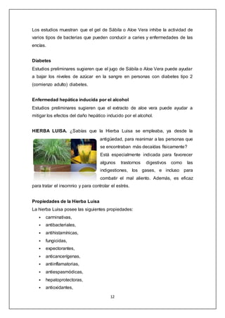 12
Los estudios muestran que el gel de Sábila o Aloe Vera inhibe la actividad de
varios tipos de bacterias que pueden conducir a caries y enfermedades de las
encías.
Diabetes
Estudios preliminares sugieren que el jugo de Sábila o Aloe Vera puede ayudar
a bajar los niveles de azúcar en la sangre en personas con diabetes tipo 2
(comienzo adulto) diabetes.
Enfermedad hepática inducida por el alcohol
Estudios preliminares sugieren que el extracto de aloe vera puede ayudar a
mitigar los efectos del daño hepático inducido por el alcohol.
HIERBA LUISA. ¿Sabías que la Hierba Luisa se empleaba, ya desde la
antigüedad, para reanimar a las personas que
se encontraban más decaídas físicamente?
Está especialmente indicada para favorecer
algunos trastornos digestivos como las
indigestiones, los gases, e incluso para
combatir el mal aliento. Además, es eficaz
para tratar el insomnio y para controlar el estrés.
Propiedades de la Hierba Luisa
La hierba Luisa posee las siguientes propiedades:
 carminativas,
 antibacteriales,
 antihistamínicas,
 fungicidas,
 expectorantes,
 anticancerígenas,
 antiinflamatorias,
 antiespasmódicas,
 hepatoprotectoras,
 antioxidantes,
 