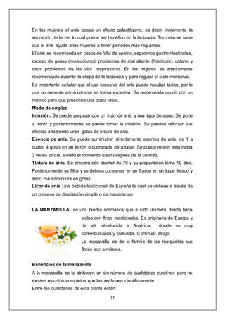 17
En las mujeres el anís posee un efecto galactógeno, es decir, incrementa la
secreción de leche, lo cual puede ser benéfico en la lactancia. También se sabe
que el anís ayuda a las mujeres a tener periodos más regulares.
El anís se recomienda en casos de falta de apetito, espasmos gastrointestinales,
exceso de gases (meteorismo), problemas de mal aliento (hialitosis), catarro y
otros problemas de las vías respiratorias. En las mujeres es ampliamente
recomendado durante la etapa de la lactancia y para regular el ciclo menstrual.
Es importante señalar que el uso excesivo del anís puede resultar tóxico, por lo
que no debe de administrarse en forma excesiva. Se recomienda acudir con un
médico para que prescriba una dosis ideal.
Modo de empleo
Infusión. Se puede preparar con un fruto de anís y una taza de agua. Se pone
a hervir y posteriormente se puede tomar la infusión. Se pueden reforzar sus
efectos añadiendo unas gotas de tintura de anís.
Esencia de anís. Se puede suministrar directamente esencia de anís, de 1 a
cuatro 4 gotas en un terrón o cucharada de azúcar. Se puede repetir esto hasta
3 veces al día, siendo el momento ideal después de la comida.
Tintura de anís. Se prepara con alcohol de 70 y su preparación toma 10 días.
Posteriormente se filtra y se deberá conservar en un frasco en un lugar fresco y
seco. Se administra en gotas.
Licor de anís Una bebida tradicional de España la cual se obtiene a través de
un proceso de destilación simple o de maceración
LA MANZANILLA. es una hierba aromática que a sido utilizada desde hace
siglos con fines medicinales. Es originaria de Europa y
de allí introducida a América, donde es muy
comercializada y cultivada. Continuar abajo:
La manzanilla es de la familia de las margaritas sus
flores son similares.
Beneficios de la manzanilla
A la manzanilla se le atribuyen un sin número de cualidades curativas pero no
existen estudios completos que las verifiquen científicamente.
Entre las cualidades de esta planta están:
 