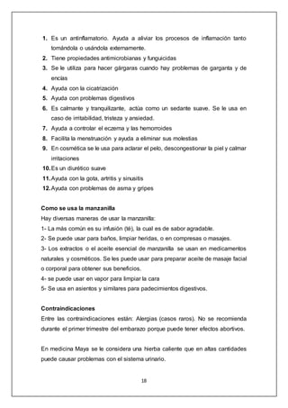 18
1. Es un antinflamatorio. Ayuda a aliviar los procesos de inflamación tanto
tomándola o usándola externamente.
2. Tiene propiedades antimicrobianas y funguicidas
3. Se le utiliza para hacer gárgaras cuando hay problemas de garganta y de
encías
4. Ayuda con la cicatrización
5. Ayuda con problemas digestivos
6. Es calmante y tranquilizante, actúa como un sedante suave. Se le usa en
caso de irritabilidad, tristeza y ansiedad.
7. Ayuda a controlar el eczema y las hemorroides
8. Facilita la menstruación y ayuda a eliminar sus molestias
9. En cosmética se le usa para aclarar el pelo, descongestionar la piel y calmar
irritaciones
10.Es un diurético suave
11.Ayuda con la gota, artritis y sinusitis
12.Ayuda con problemas de asma y gripes
Como se usa la manzanilla
Hay diversas maneras de usar la manzanilla:
1- La más común es su infusión (té), la cual es de sabor agradable.
2- Se puede usar para baños, limpiar heridas, o en compresas o masajes.
3- Los extractos o el aceite esencial de manzanilla se usan en medicamentos
naturales y cosméticos. Se les puede usar para preparar aceite de masaje facial
o corporal para obtener sus beneficios.
4- se puede usar en vapor para limpiar la cara
5- Se usa en asientos y similares para padecimientos digestivos.
Contraindicaciones
Entre las contraindicaciones están: Alergias (casos raros). No se recomienda
durante el primer trimestre del embarazo porque puede tener efectos abortivos.
En medicina Maya se le considera una hierba caliente que en altas cantidades
puede causar problemas con el sistema urinario.
 