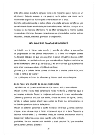 20
Entre otras cosas la cultura peruana tiene como referente que el matico es un
afrodisíaco. Además cuando a una persona se le extrae una muela se le
recomienda un poco de matico para aliviar la lesión en la encía.
Como te podrás dar cuenta el matico ofrece una amplia gama de beneficios, solo
es cuestión de hacer uso de esta planta en el momento indicado. Aunque en el
mercado de la medicina alternativa no es difícil conseguirla tú mismo puedes
prepararla en diferentes formatos para obtener sus propiedades, puedes realizar
infusiones, jarabes, extractos, pomadas o cataplasmas.
INFUSIONES DE PLANTAS MEDICINALES
La infusión es la forma más común y sencilla de utilizar y aprovechar
las propiedades de las plantas medicinales. A la hora de comprar plantas
medicinales opta por las que se encuentran a granel en lugar de las que están
ya en bolsitas. La cantidad estándar que se suele utilizar de planta medicinal es
de una cucharadita (unos 5 gr) por taza (200 ml) en el caso de que la planta esté
seca, si es fresca necesitarás el doble de cantidad.
¿Sabías que si utilizas varias plantas distintas en la misma preparación, ésta
recibe el nombre de tisiana?
Una opción para endulzar las infusiones y tisianas es el sirope de agave.
Cómo hacer una infusión de plantas medicinales
Las infusiones las podemos elaborar de dos formas: en frío o en caliente.
Infusión en frío: en una taza ponemos la hierba medicinal y añadimos agua a
temperatura ambiente. Tapamos y dejamos así durante 8 horas o toda la noche.
Colamos y podemos endulzar con stevia, sirope de yacón, de ágave, canela,
panela, o incluso puedes añadir unas gotitas de limón. Así aprovechamos al
máximo los principios activos de la planta.
Infusión en caliente: ponemos la planta medicinal en la taza y pones a calentar
el agua, antes de que vaya a hervir echamos el agua en la taza. Tapamos y
dejamos reposar entre 3 y 10 minutos. Después colamos, endulzamos si así lo
deseamos y bebemos poco a poco cuando se ha enfriado.
Igualmente, de esta misma forma también puedes preparar Té, que se realiza
con la planta Camellia Sinensis
 