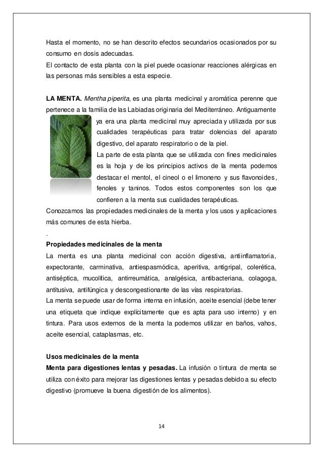 Plantas Medicinales