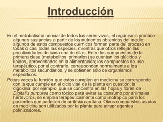 IntroducciónEn el metabolismo normal de todos los seres vivos, el organismo produce algunas sustancias a partir de los nutrientes obtenidos del medio; algunos de estos compuestos químicos forman parte del proceso en todas o casi todas las especies, mientras que otros reflejan las peculiaridades de cada una de ellas. Entre los compuestos de la primera clase (metabolitos  primarios) se cuentan los glúcidos y lípidos, aprovechados en la alimentación; los compuestos de uso terapéutico, por el contrario, corresponden normalmente a los metabolitos secundarios, y se obtienen sólo de organismos específicos.Pocas veces la función que estos cumplen en medicina se corresponde con la que cumple en el ciclo vital de la planta en cuestión; la digoxina, por ejemplo, que se concentra en las hojas y flores de Digitalis purpurea como tóxico para evitar su consumo por animales herbívoros, se emplea terapéuticamente como inotrópico para los pacientes que padecen de arritmia cardíaca. Otros compuestos usados en medicina son utilizados por la planta para atraer agentes polinizadores.