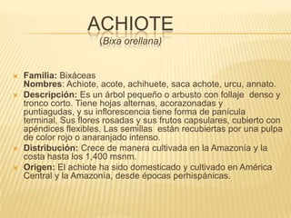 ACHIOTE(Bixa orellana)Familia: BixáceasNombres: Achiote, acote, achihuete, saca achote, urcu, annato.Descripción: Es un árbol pequeño o arbusto con follaje  denso y tronco corto. Tiene hojas alternas, acorazonadas y puntiagudas, y su inflorescencia tiene forma de panícula terminal, Sus flores rosadas y sus frutos capsulares, cubierto con apéndices flexibles. Las semillas  están recubiertas por una pulpa de color rojo o anaranjado intenso.Distribución: Crece de manera cultivada en la Amazonía y la costa hasta los 1,400 msnm.Origen: El achiote ha sido domesticado y cultivado en América Central y la Amazonía, desde épocas perhispánicas. 