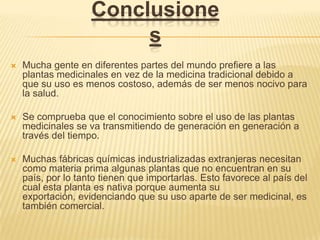 ConclusionesMucha gente en diferentes partes del mundo prefiere a las plantas medicinales en vez de la medicina tradicional debido a que su uso es menos costoso, además de ser menos nocivo para la salud.Se comprueba que el conocimiento sobre el uso de las plantas medicinales se va transmitiendo de generación en generación a través del tiempo.Muchas fábricas químicas industrializadas extranjeras necesitan como materia prima algunas plantas que no encuentran en su país, por lo tanto tienen que importarlas. Esto favorece al país del cual esta planta es nativa porque aumenta su exportación, evidenciando que su uso aparte de ser medicinal, es también comercial.