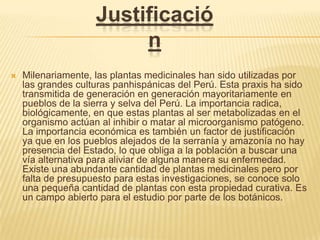 JustificaciónMilenariamente, las plantas medicinales han sido utilizadas por las grandes culturas panhispánicas del Perú. Esta praxis ha sido transmitida de generación en generación mayoritariamente en pueblos de la sierra y selva del Perú. La importancia radica, biológicamente, en que estas plantas al ser metabolizadas en el organismo actúan al inhibir o matar al microorganismo patógeno. La importancia económica es también un factor de justificación ya que en los pueblos alejados de la serranía y amazonía no hay presencia del Estado, lo que obliga a la población a buscar una vía alternativa para aliviar de alguna manera su enfermedad. Existe una abundante cantidad de plantas medicinales pero por falta de presupuesto para estas investigaciones, se conoce solo una pequeña cantidad de plantas con esta propiedad curativa. Es un campo abierto para el estudio por parte de los botánicos.