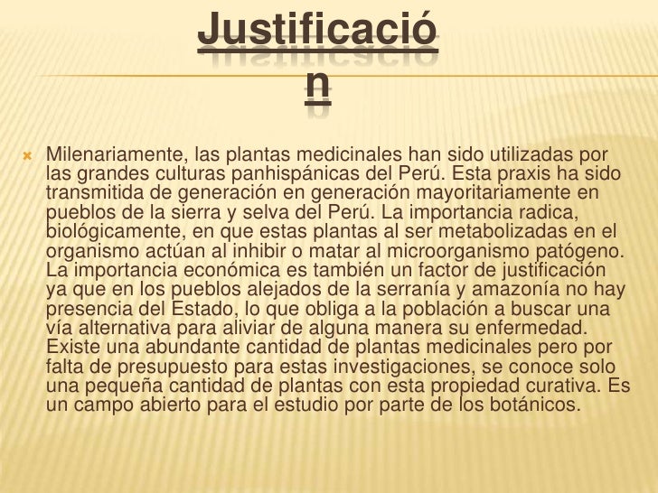 Justificacion De Un Proyecto De Plantas Medicinales