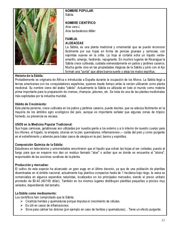 Plantas Medicinales