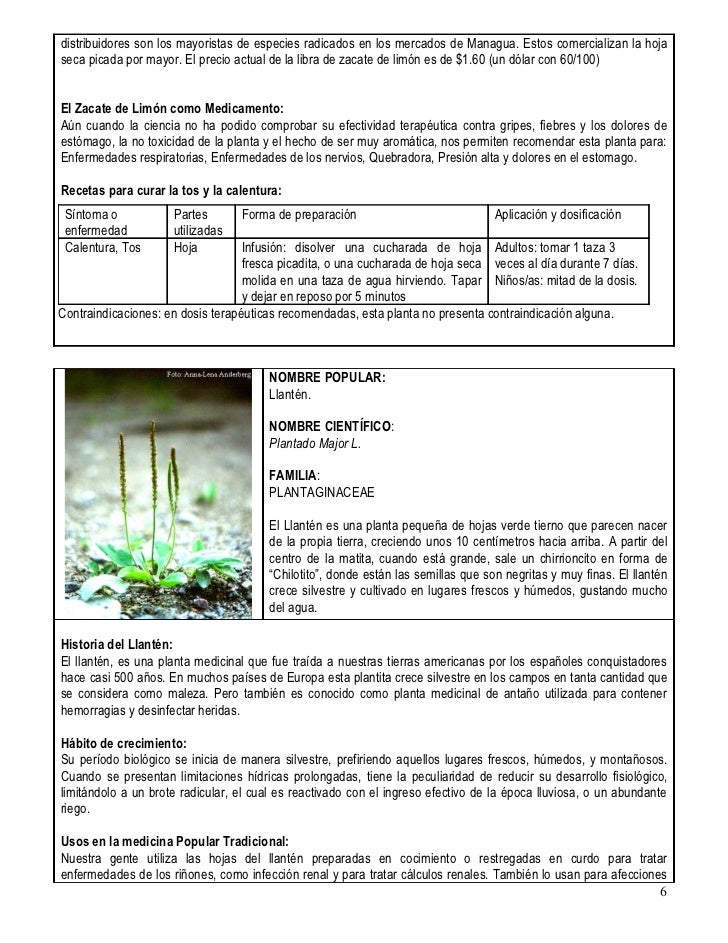 Plantas Medicinales