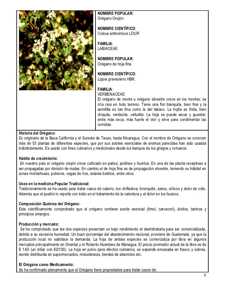 Plantas Medicinales