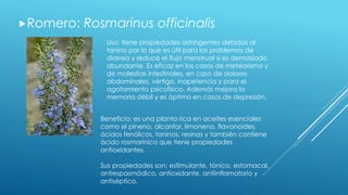 Romero: Rosmarinus officinalis 
Uso: tiene propiedades astringentes debidas al 
tanino por lo que es útil para los problemas de 
diarrea y reduce el flujo menstrual si es demasiado 
abundante. Es eficaz en los casos de meteorismo y 
de molestias intestinales, en caso de dolores 
abdominales, vértigo, inapetencia y para el 
agotamiento psicofísico. Además mejora la 
memoria débil y es óptimo en casos de depresión. 
Beneficio: es una planta rica en aceites esenciales 
como el pineno, alcanfor, limoneno, flavonoides, 
ácidos fenólicos, taninos, resinas y también contiene 
ácido rosmarínico que tiene propiedades 
antioxidantes. 
Sus propiedades son: estimulante, tónico, estomacal, 
antiespasmódico, antioxidante, antiinflamatorio y 
antiséptico. 
 
