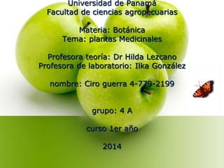 Universidad de Panamá 
Facultad de ciencias agropecuarias 
Materia: Botánica 
Tema: plantas Medicinales 
Profesora teoría:...
