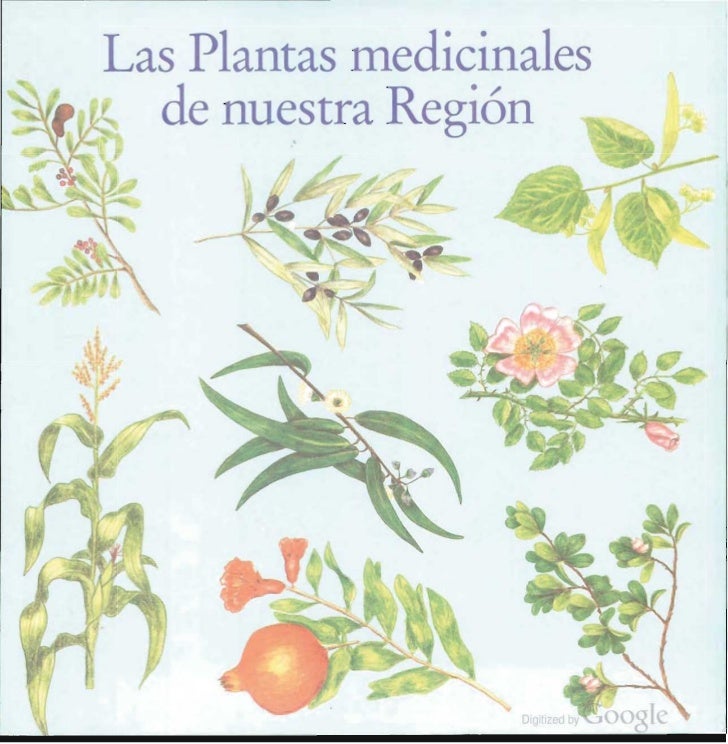 Plantas Medicinales De La Region De Murcia