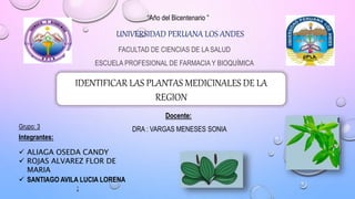 “Año del Bicentenario ”
UNIVERSIDAD PERUANA LOS ANDES
FACULTAD DE CIENCIAS DE LA SALUD
ESCUELA PROFESIONAL DE FARMACIA Y BIOQUÍMICA
IDENTIFICAR LAS PLANTAS MEDICINALES DE LA
REGION
Docente:
DRA : VARGAS MENESES SONIA
Grupo: 3
Integrantes:
 ALIAGA OSEDA CANDY
 ROJAS ALVAREZ FLOR DE
MARIA
 SANTIAGO AVILA LUCIA LORENA
:
 