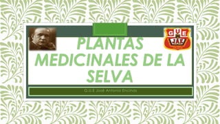 PLANTAS
MEDICINALES DE LA
SELVA
G.U.E José Antonio Encinas
 