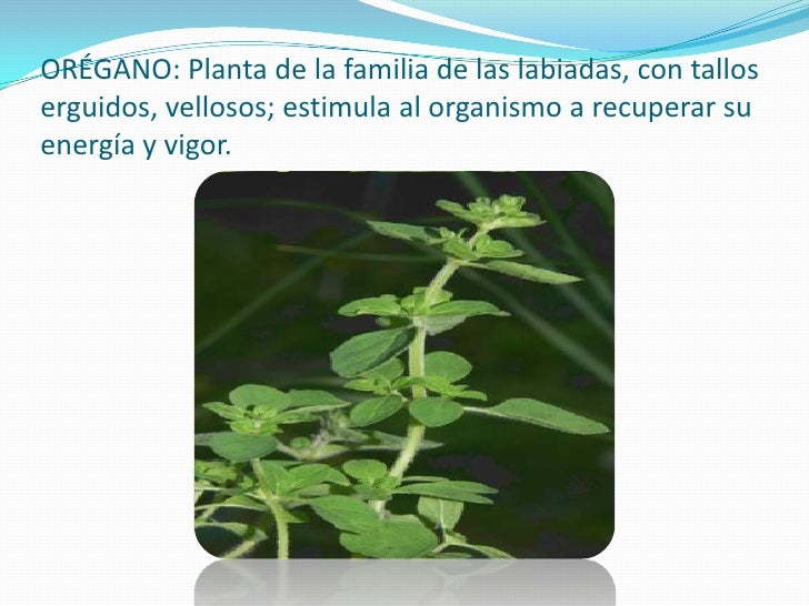 Quien de las celebridades aumentaba a él el pecho