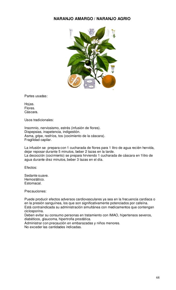 Plantas Medicinales De Uso Tradicional En Chile