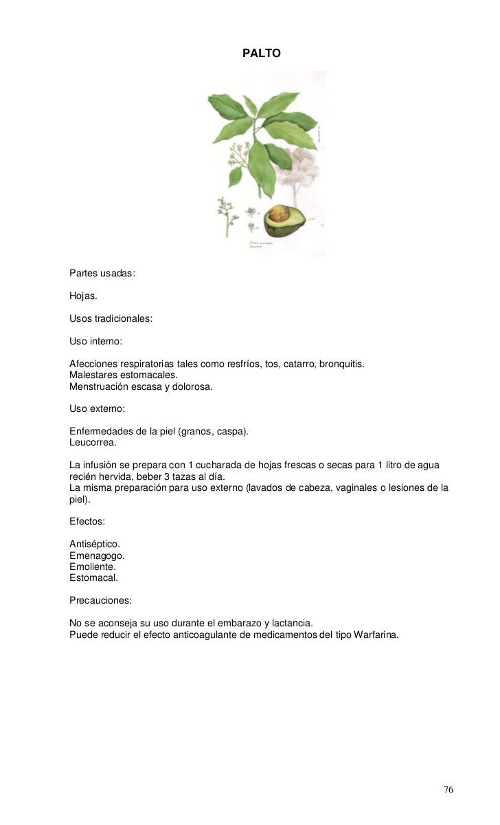 Plantas Medicinales De Uso Tradicional En Chile