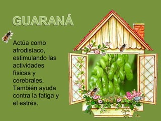 Actúa como
afrodisíaco,
estimulando las
actividades
físicas y
cerebrales.
También ayuda
contra la fatiga y
el estrés.
 