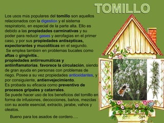 Los usos más populares del tomillo son aquellos
relacionados con la digestión y el sistema
respiratorio, en especial de la parte alta. Ello es
debido a las propiedades carminativas y su
poder para reducir gases y aerofagias en el primer
caso, y por sus propiedades antisépticas,
expectorantes y mucolíticas en el segundo.
Se emplea también en problemas bucales como
aftas o gingivitis..
propiedades antirreumáticas y
antiinflamatorias. favorece la circulación, siendo
de gran ayuda en personas con problemas de
riego. Posee a su vez propiedades antioxidantes, y
por consiguiente, antienvejecimiento.
Es probada su eficacia como preventivo de
procesos gripales y catarrales.
Se puede hacer uso de los beneficios del tomillo en
forma de infusiones, decocciones, baños, mezclas
con su aceite esencial, extracto, jarabe, vahos y
oleatos.
Bueno para los asados de cordero….
 
