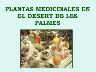 PLANTAS MEDICINALES EN EL DESERT DE LES PALMES 
