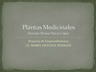 Proyecto de Emprendimiento  I.E. MARÍA ANTONIA PENAGOS Plantas MedicinalesHernán Alonso Navia López 