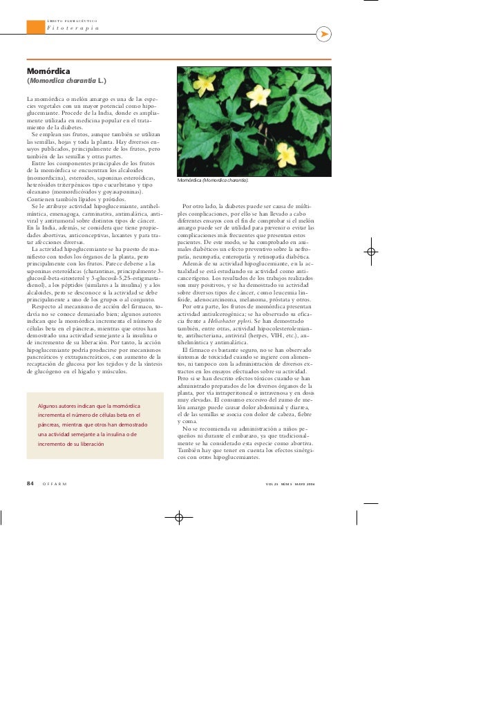 Plantas medicinales hipoglucemiantes Plantas medicinales hipoglucemiantes