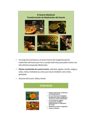 El	
  Huerto	
  Medicinal
                    Transformación	
  de	
  Medicinales	
  del	
  Huerto




                                                                                                                                 	
  
                                                          	
  

•   A	
  lo	
  largo	
  de	
  la	
  primavera	
  y	
  el	
  verano	
  hemos	
  ido	
  recogiendo	
  plantas	
  
    medicinales	
  del	
  huerto	
  que	
  tras	
  su	
  secado	
  están	
  listas	
  para	
  poder	
  realizar	
  con	
  
    ellas	
  distintos	
  preparados	
  Medicinales	
  

•   Plantas	
  recolectadas	
  de	
  nuestro	
  huerto:	
  caléndula,	
  tagetes,	
  tomillo,	
  orégano,	
  
    salvia,	
  melisa,	
  hierbabuena	
  y	
  otras	
  que	
  crecen	
  alrededor	
  como	
  malva,	
  
    gordolobo	
  

•   Silvestres	
  del	
  huerto:	
  Malva,	
  llantén	
  


                                              Caléndula

                                                                 •   planta	
  cicatrizante,	
  vulneraria	
  
                                                                     y	
  antiinfalmatoria.	
  
                                                                 •   En	
  uso	
  interno	
  en	
  enjuagues	
  
                                                                     bucales	
  para	
  aftas	
   o	
  anginas	
  o	
  
                                                                     mucosas	
  o	
  encias inflamadas.	
  
                                                                 •   En	
  uso	
  externo:	
  golpes,	
  
                                                                     contusiones,	
  heridas,	
  
                                                                     inflamaciones	
  o	
  irritaciones	
  
                                                                     de	
  la	
  piel
                                                                 •   Realizamos	
  aceite	
  y	
  ungüento
                                                                 •   Tintura,	
  infusión



                                                                                                                          	
  
 