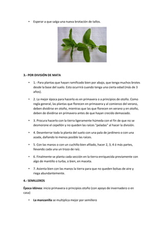 •   Esperar	
  a	
  que	
  salga	
  una	
  nueva	
  brotación	
  de	
  tallos.	
  	
  




                                                                                                        	
  
	
  

3.-­‐	
  POR	
  DIVISIÓN	
  DE	
  MATA	
  

       •   1.-­‐	
  Para	
  plantas	
  que	
  hayan	
  ramificado	
  bien	
  por	
  abajo,	
  que	
  tenga	
  muchos	
  brotes	
  
           desde	
  la	
  base	
  del	
  suelo.	
  Esto	
  ocurrirá	
  cuando	
  tenga	
  una	
  cierta	
  edad	
  (más	
  de	
  3	
  
           años).	
  	
  

       •   2.	
  La	
  mejor	
  época	
  para	
  hacerlo	
  es	
  en	
  primavera	
  o	
  a	
  principios	
  de	
  otoño.	
  Como	
  
           regla	
  general,	
  las	
  plantas	
  que	
  florecen	
  en	
  primavera	
  y	
  al	
  comienzo	
  del	
  verano,	
  
           deben	
  dividirse	
  en	
  otoño,	
  mientras	
  que	
  las	
  que	
  florecen	
  en	
  verano	
  y	
  en	
  otoño,	
  
           deben	
  de	
  dividirse	
  en	
  primavera	
  antes	
  de	
  que	
  hayan	
  crecido	
  demasiado.	
  	
  

       •   3.	
  Procura	
  hacerlo	
  con	
  la	
  tierra	
  ligeramente	
  húmeda	
  con	
  el	
  fin	
  de	
  que	
  no	
  se	
  
           desmorone	
  el	
  cepellón	
  y	
  no	
  queden	
  las	
  raíces	
  "peladas"	
  al	
  hacer	
  la	
  división.	
  

       •   4.	
  Desenterrar	
  toda	
  la	
  planta	
  del	
  suelo	
  con	
  una	
  pala	
  de	
  jardinero	
  o	
  con	
  una	
  
           azada,	
  dañando	
  lo	
  menos	
  posible	
  las	
  raíces.	
  	
  

       •   5.	
  Con	
  las	
  manos	
  o	
  con	
  un	
  cuchillo	
  bien	
  afilado,	
  hacer	
  2,	
  3,	
  4	
  ó	
  más	
  partes,	
  
           llevando	
  cada	
  una	
  un	
  trozo	
  de	
  raíz.	
  	
  

       •   6.	
  Finalmente	
  se	
  planta	
  cada	
  sección	
  en	
  la	
  tierra	
  enriquecida	
  previamente	
  con	
  
           algo	
  de	
  mantillo	
  o	
  turba,	
  o	
  bien,	
  en	
  maceta.	
  	
  

       •   7.	
  Asienta	
  bien	
  con	
  las	
  manos	
  la	
  tierra	
  para	
  que	
  no	
  queden	
  bolsas	
  de	
  aire	
  y	
  
           riega	
  abundantemente.	
  	
  

4.-­‐	
  SEMILLEROS	
  

Época	
  idónea:	
  inicio	
  primavera	
  o	
  principios	
  otoño	
  (con	
  apoyo	
  de	
  invernadero	
  o	
  en	
  
casa)	
  	
  

       •   La	
  manzanilla	
  se	
  multiplica	
  mejor	
  por	
  semillero	
  
 