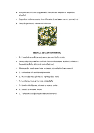 •   Trasplantar	
  cuando	
  es	
  muy	
  pequeña	
  (repicado	
  en	
  recipientes	
  pequeños-­‐
           alveolos)	
  

       •   Segundo	
  trasplante	
  cuando	
  tiene	
  15	
  cm	
  de	
  altura	
  (ya	
  en	
  maceta	
  o	
  tetrabrick)	
  

       •   Después	
  ya	
  al	
  suelo	
  o	
  a	
  maceta	
  definitiva.	
  




                                                                                      	
  
	
  

                                        ESQUEMA	
  DE	
  CALENDARIO	
  ANUAL	
  

       •   1.-­‐	
  Esquejado	
  aromáticas:	
  primavera,	
  verano,	
  finales	
  otoño	
  

       •   La	
  mejor	
  época	
  para	
  el	
  estaquillado	
  de	
  aromáticas	
  es	
  en	
  Septiembre-­‐Octubre	
  
           (aprovechando	
  los	
  últimos	
  brotes	
  del	
  verano)	
  	
  

       •   Mantener	
  las	
  bandejas	
  en	
  lugar	
  protegido	
  y	
  templadito	
  (invernadero)	
  	
  

       •   2.-­‐	
  Rebrote	
  de	
  raíz:	
  comienzo	
  primavera	
  

       •   3.-­‐	
  División	
  de	
  mata:	
  primavera	
  o	
  principio	
  de	
  otoño	
  

       •   4.-­‐	
  Semilleros:	
  inicio	
  primavera,	
  inicio	
  otoño	
  

       •   5.-­‐	
  Recolección	
  Plantas:	
  primavera,	
  verano,	
  otoño	
  

       •   6.-­‐	
  Secado:	
  primavera,	
  verano	
  

       •   7.-­‐	
  Transformación	
  plantas	
  medicinales:	
  Invierno	
  

                                                                    	
  
 