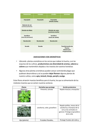 PRIMAVERA                         VERANO                     OTOÑO                         INVIERNO


                    Esquejado                       Esquejado                 Esquejado	
  
                                                                           (finales	
  otoño)

                 Rebrote	
  de	
  raíz	
  
                (comienzo	
  primavera)


                División	
  de	
  Mata                                   División	
  de	
  mata	
  
                                                                         (comienzo	
  otoño)

                      Semillero	
                                             Semillero	
  
               (inicio	
  de primavera)	
                                 (Inicio	
  de	
  otoño)

                   Recolección                      Recolección              Recolección


                            Secado                    Secado                                             Transformación de	
  
                                                                                                              Plantas	
  
                                                                                                            Medicinales	
  
                                                                                                           Preparaciones
                                                                                                                                           	
  
                                                ASOCIACIONES	
  CON	
  AROMÁTICAS	
  

     •     Ubicando	
  	
  plantas	
  aromáticas	
  en	
  los	
  cercos	
  que	
  rodean	
  la	
  huerta,	
  o	
  en	
  las	
  
           esquinas	
  de	
  los	
  cultivos,	
  produciremos	
  una	
  diversidad	
  de	
  aromas,	
  sabores	
  y	
  
           colores	
  que	
  mantendrán	
  alejados	
  a	
  los	
  insectos	
  de	
  nuestras	
  hortalizas	
  

     •     Algunas	
  otras	
  plantas	
  aromáticas	
  pueden	
  actuar	
  controlando	
  plagas	
  que	
  
           pudiesen	
  desarrollarse	
  y	
  así	
  se	
  pueden	
  dejar	
  florecer	
  algunas	
  plantas	
  de	
  
           nuestro	
  cultivo,	
  como	
  apio,	
  brócoli,	
  hinojo,	
  perejil	
  y	
  acelga.	
  	
  

Estas	
  flores	
  atraerán	
  insectos	
  benéficos	
  para	
  la	
  huerta,	
  los	
  que	
  se	
  alimentarán	
  de	
  los	
  
molestos	
  insectos	
  que	
  se	
  comen	
  nuestras	
  verduras	
  

               Planta	
                                Hortaliza	
  que	
  protege	
                      Acción	
  protectora	
  
              Albahaca	
                                 Pimiento,	
  tomate	
                        Repele	
  moscas	
  y	
  mosquitos	
  




                                      	
  
                   	
  
                Ajenjo	
                                             	
                              Repele	
  polillas,	
  mosca	
  de	
  la	
  
                                                    zanahoria,	
  coles,	
  grosellero	
             zanahoria	
  y	
  mariposa	
  de	
  la	
  
                                                                                                       col	
  y	
  a	
  los	
  animales	
  en	
  
                                                                                                    general.	
  Protege	
  al	
  grosellero	
  
                                                                                                                    de	
  la	
  rolla	
  
                                         	
  
                     	
  
           Ajo	
  (planta)	
                              Frutales	
  fresales,	
                     Protege	
  frutales	
  del	
  oidio	
  y	
  
 