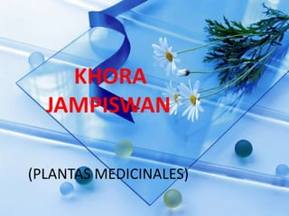 KHORA
  JAMPISWAN

(PLANTAS MEDICINALES)
 
