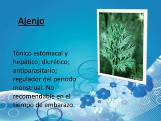 Ajenjo


Tónico estomacal y
hepático; diurético;
antiparasitario;
regulador del periodo
menstrual. No
recomendable en el
tiempo de embarazo.
 