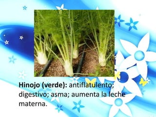 Hinojo (verde): antiflatulento;
digestivo; asma; aumenta la leche
materna.
 