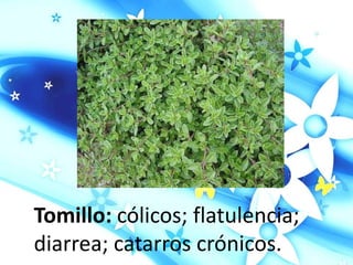 Tomillo: cólicos; flatulencia;
diarrea; catarros crónicos.
 