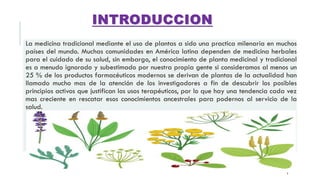 La medicina tradicional mediante el uso de plantas a sido una practica milenaria en muchos
países del mundo. Muchas comunidades en América latina dependen de medicina herbales
para el cuidado de su salud, sin embargo, el conocimiento de planta medicinal y tradicional
es a menudo ignorado y subestimado por nuestra propia gente si consideramos al menos un
25 % de los productos farmacéuticos modernos se derivan de plantas de la actualidad han
llamado mucho mas de la atención de los investigadores a fin de descubrir los posibles
principios activos que justifican los usos terapéuticos, por lo que hay una tendencia cada vez
mas creciente en rescatar esos conocimientos ancestrales para podernos al servicio de la
salud.
INTRODUCCION
3
 
